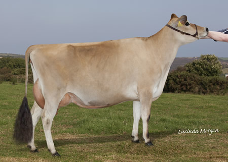 Quintrell Comerica Cerise